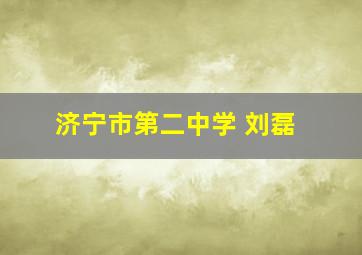 济宁市第二中学 刘磊